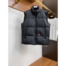 Louis Vuitton Down Jackets